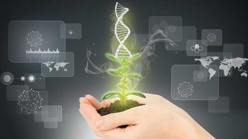 Benefits of Biotechnology in Agriculture