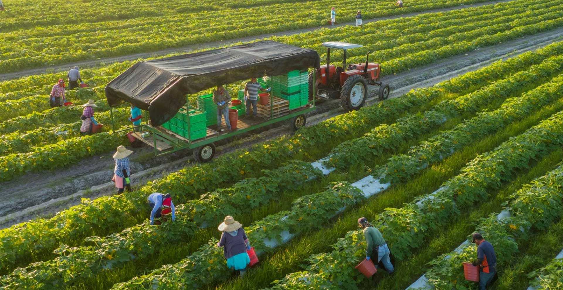 Sustainable Agriculture Solutions