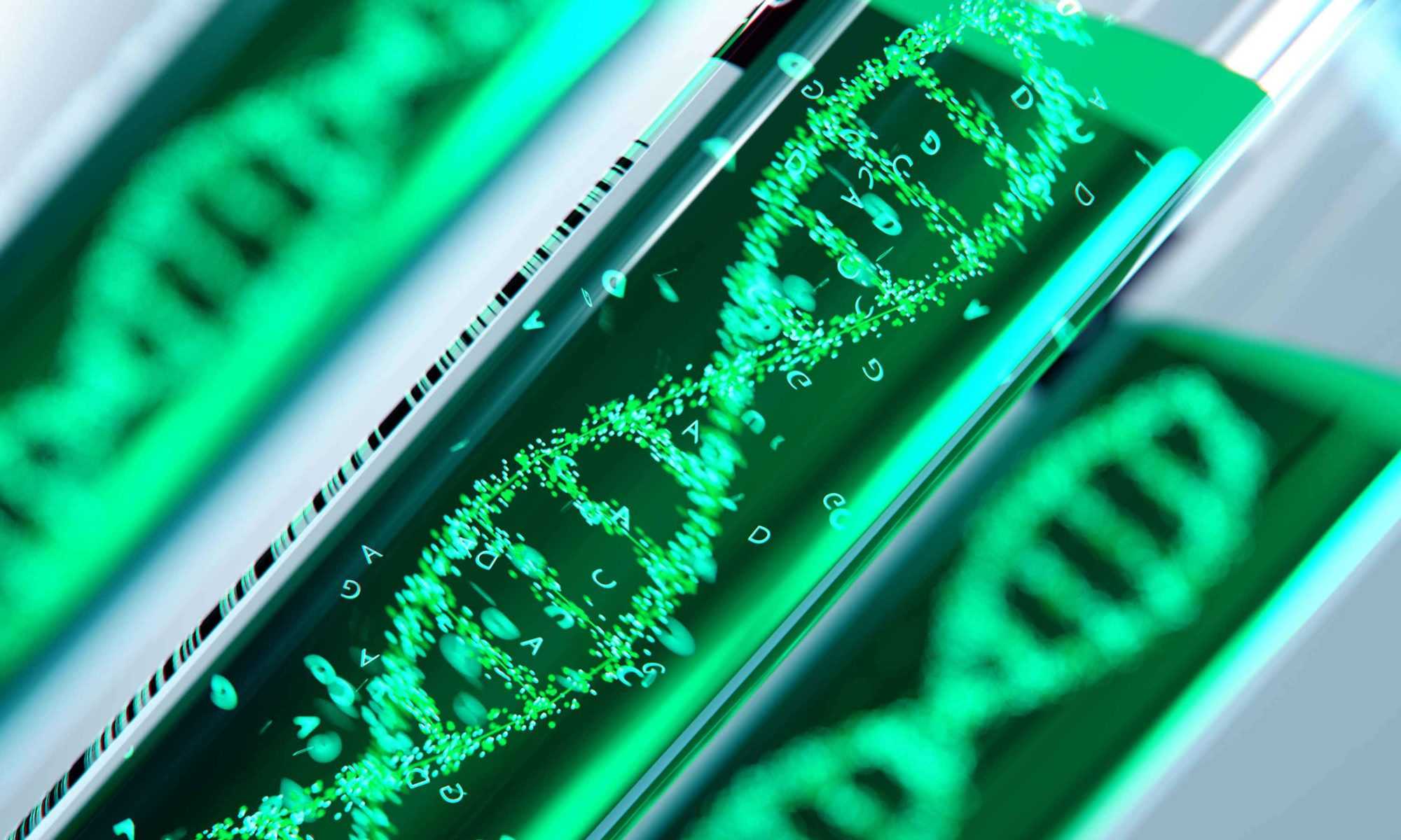 Methods of Gene Transfer in Plants