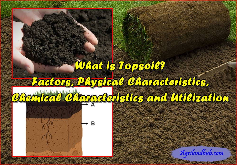 What is Topsoil Factors, Physical Characteristics, Chemical Characteristics and Utilization