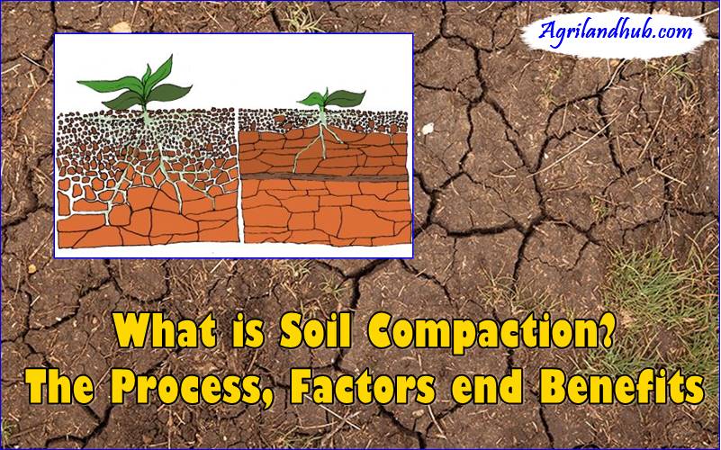 What is Soil Compaction? The Process, Factors and Benefits ...