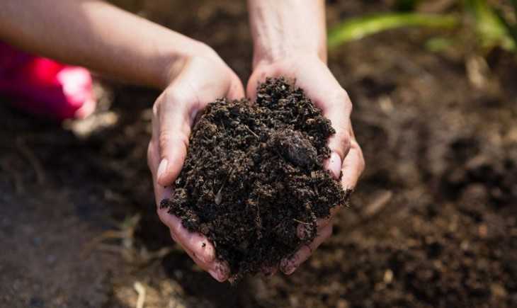 10 Tips for Utilizing Organic Fertilizer to Improve Soil Quality