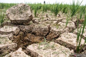 The Proper Way to Maintain Soil Moisture in Dry Farmland
