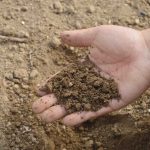 Secrets to Maintaining Soil Health for Optimal Plant Growth