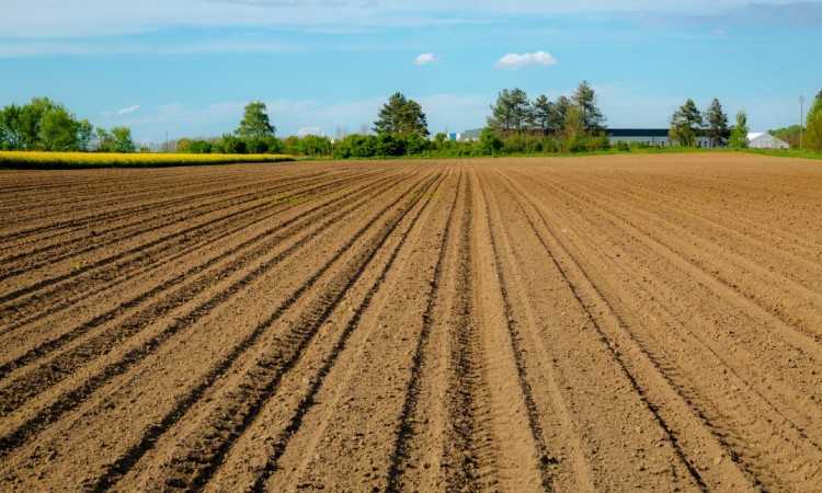 How to Maintain Agricultural Soil to Prevent Damage