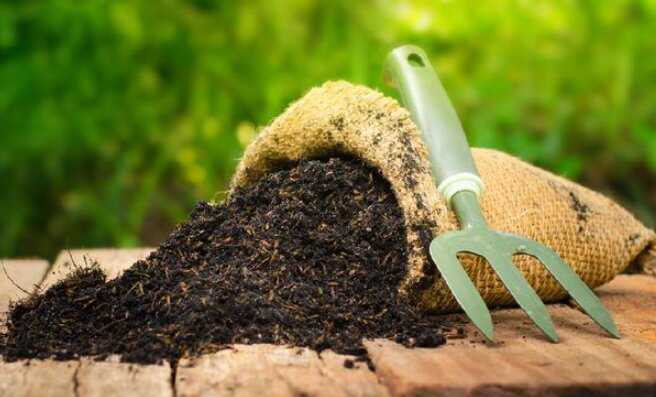 Tips for Utilizing Organic Fertilizer