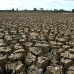 Guide to Maintaining Agricultural Soil to Prevent Damage