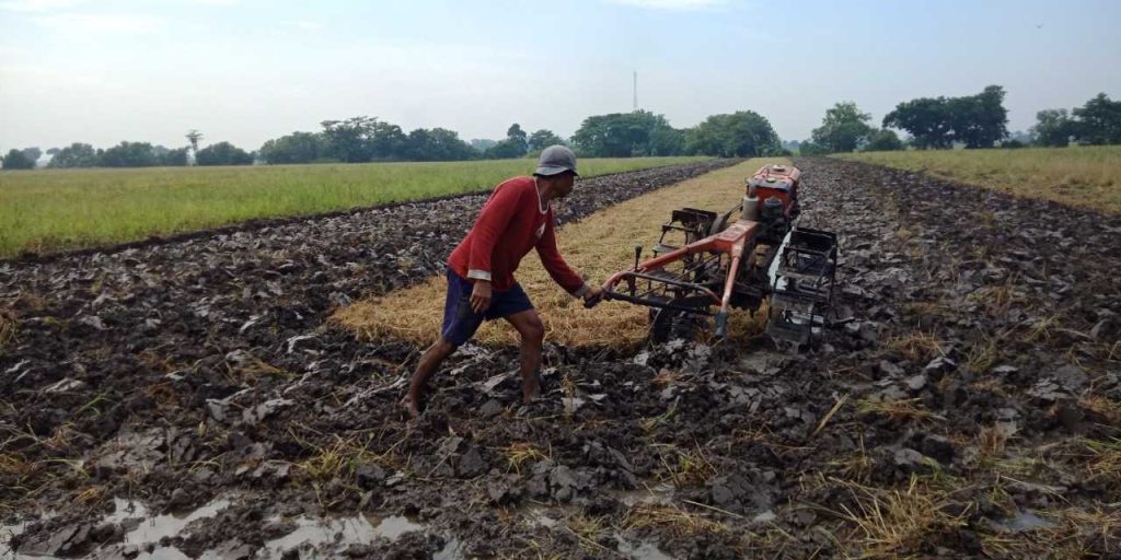 Here Are 15 Strategies to Manage Agricultural Land for Greater Productivity