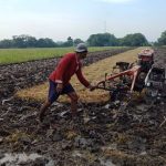 Here Are 15 Strategies to Manage Agricultural Land for Greater Productivity