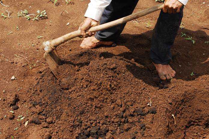 7 Basic Techniques for Preparing Soil for the Planting Season