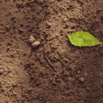 8 Simple Steps to Improve Soil Structure for Better Looseness