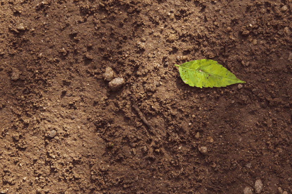 8 Simple Steps to Improve Soil Structure for Better Looseness
