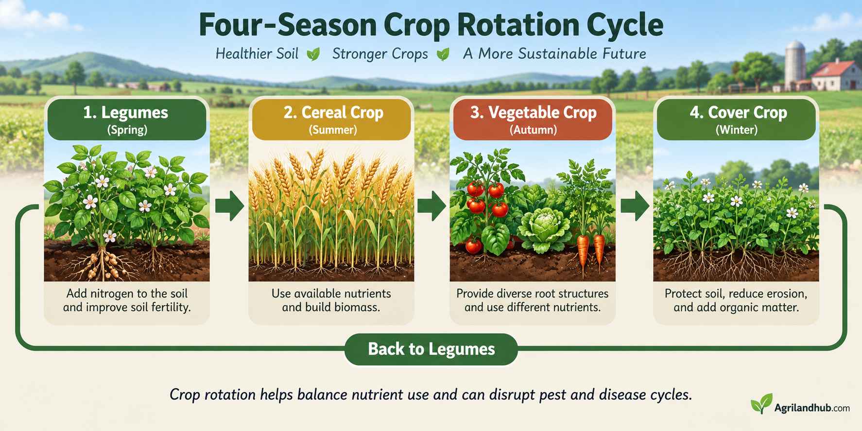 Practice Crop Rotation Each Season